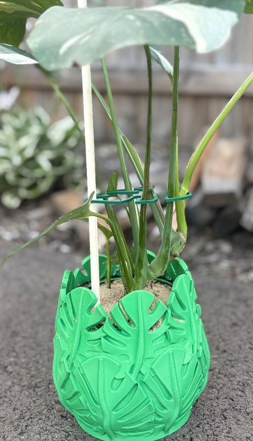 Large (7-inch) Monstera Leaf Plant Support