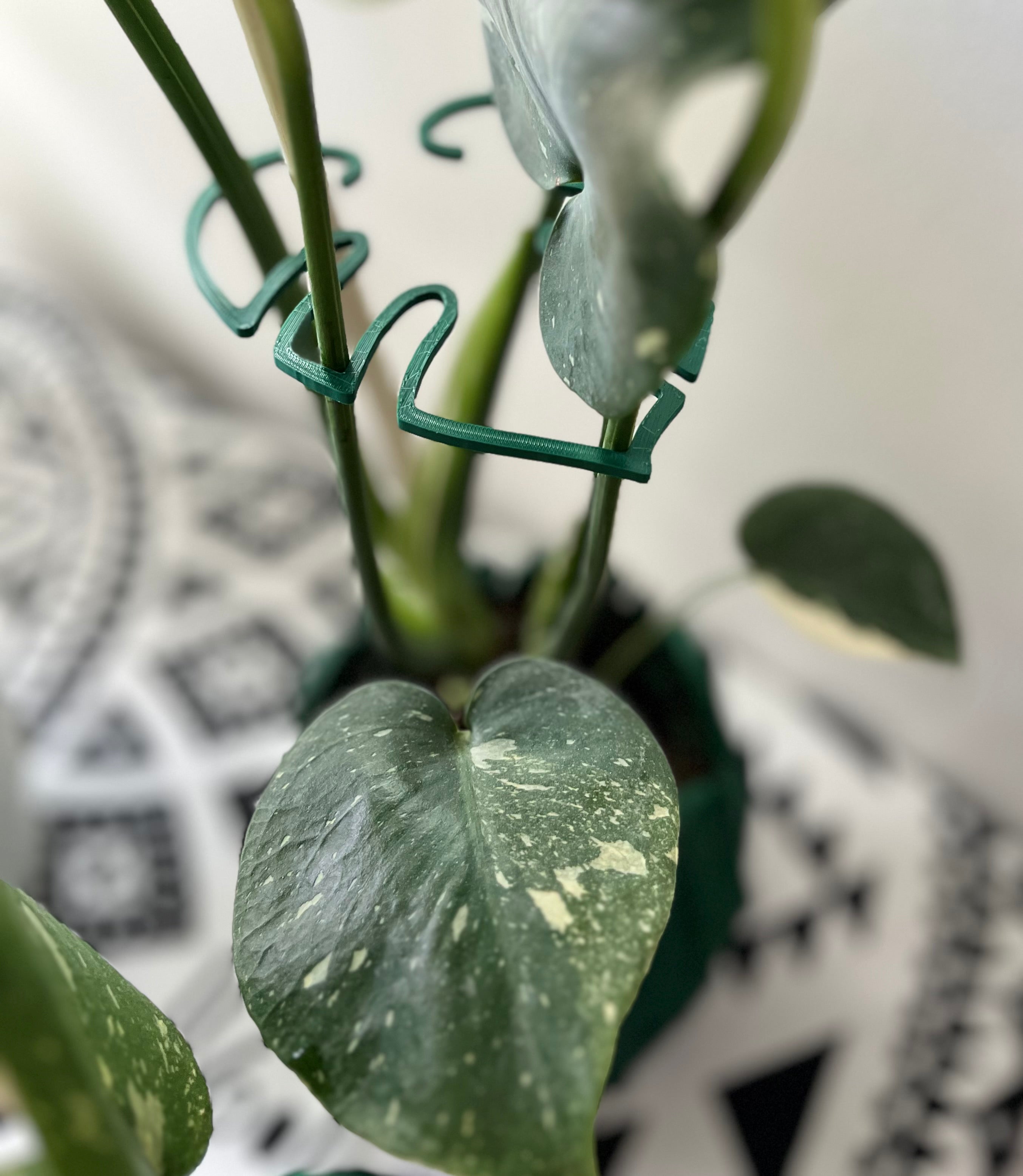 Large (7-inch) Monstera Leaf Plant Support