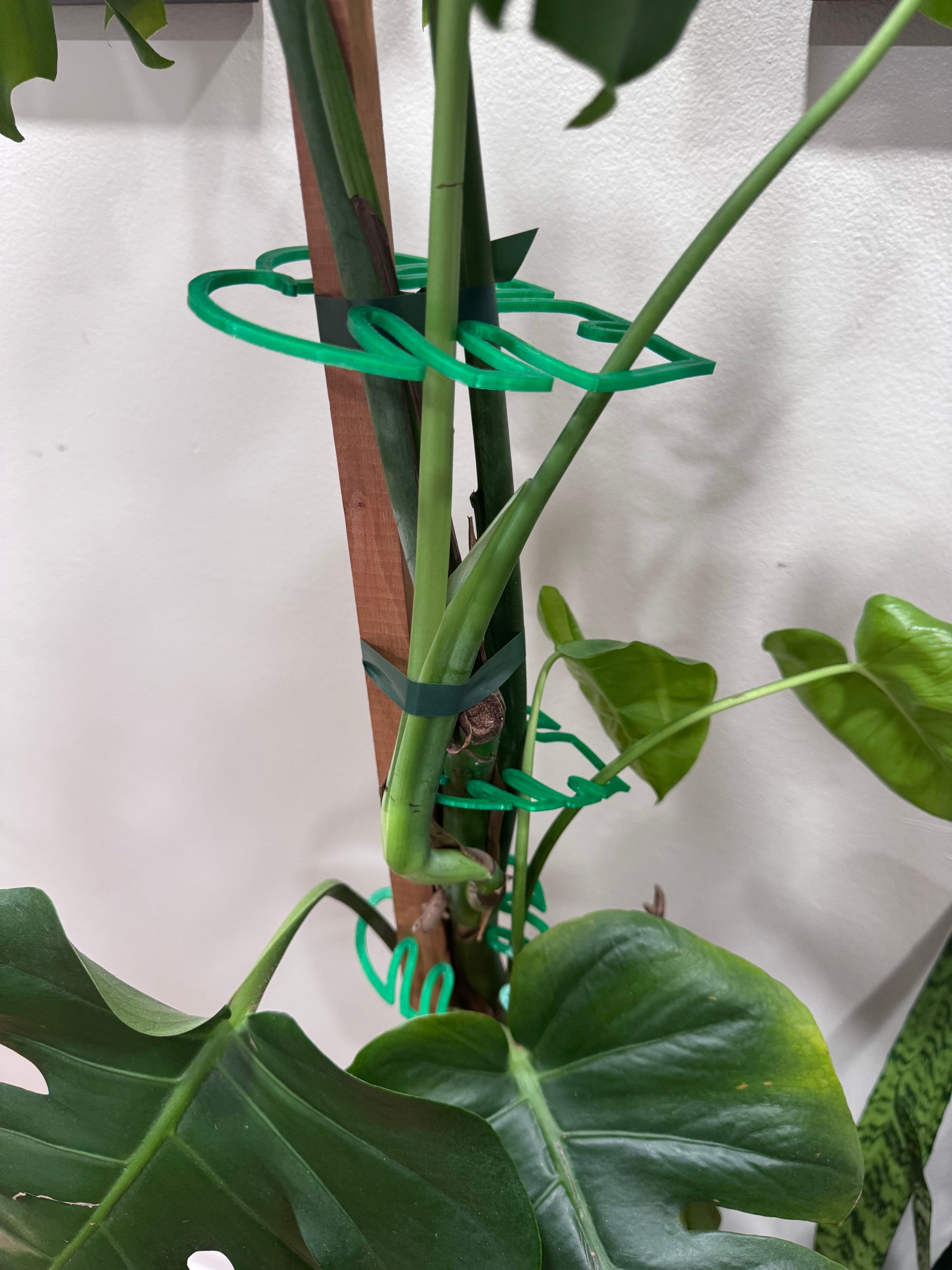 Small (3-inch) Monstera Leaf Plant Support